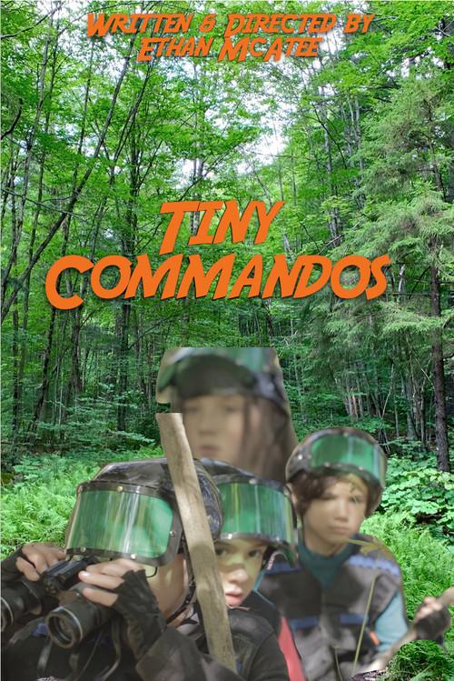 Tiny Commandos 2019 official movie poster
