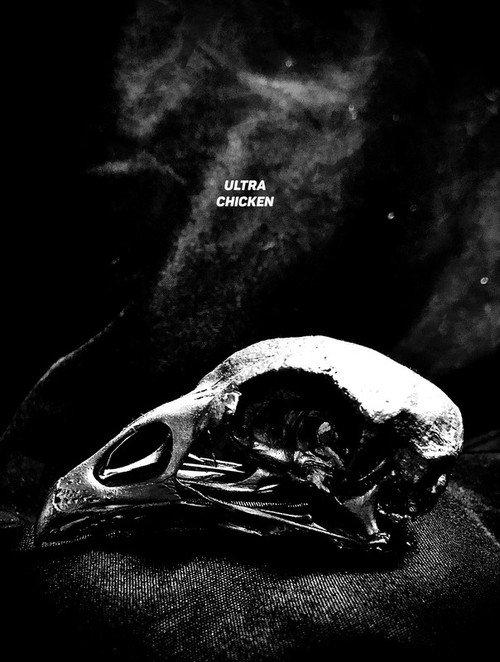 Ultra Chicken  official movie poster