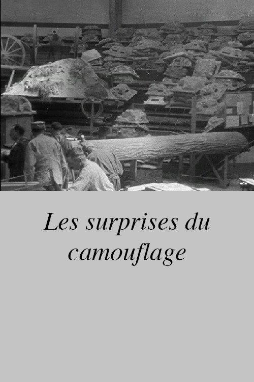 Les surprises du camouflage 1912 official movie poster