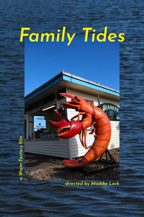 Family Tides 2026 official movie poster