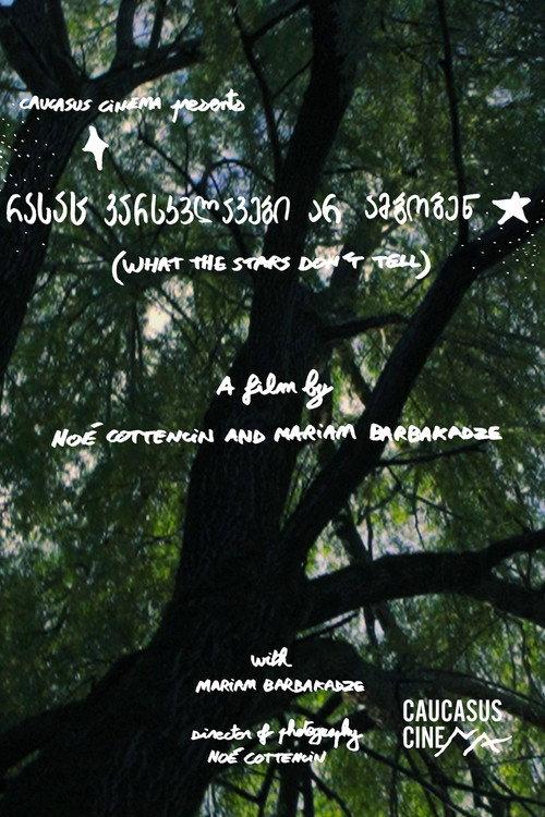 What the Stars Don’t Tell 2025 official movie poster