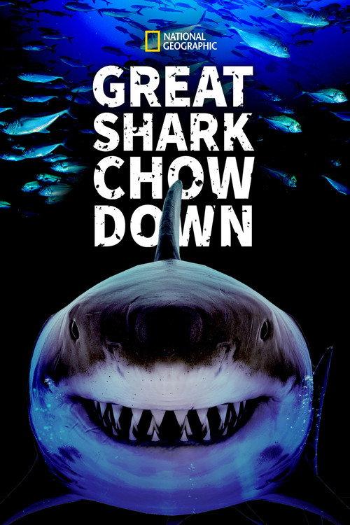 Great Shark Chow Down 2019 official movie poster