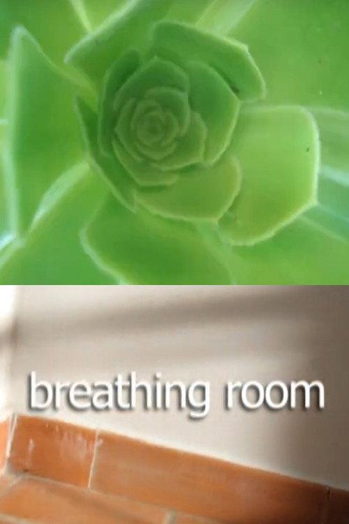 Breathing Room 2009 official movie poster