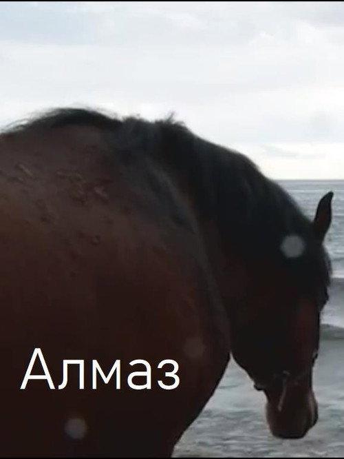 Almaz 2013 official movie poster