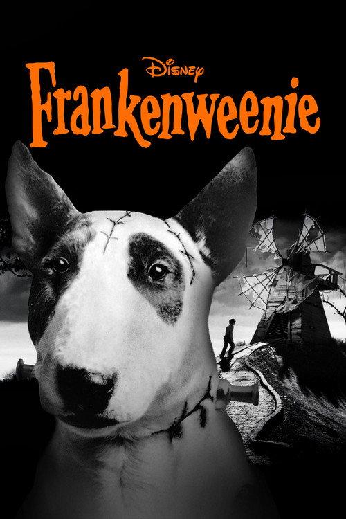Frankenweenie 1984 official movie poster
