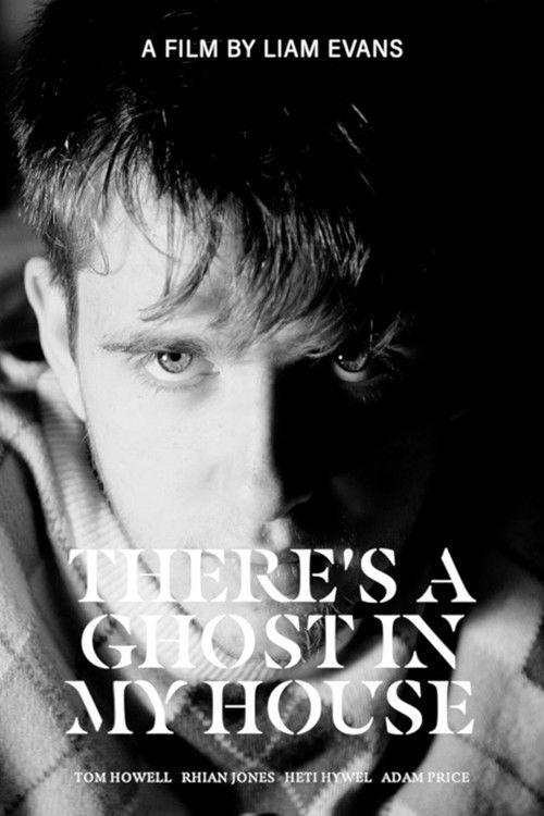 There's A Ghost In My House 2022 official movie poster