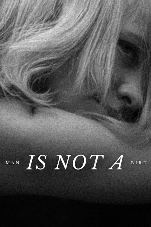 Man Is Not a Bird 1965 official movie poster