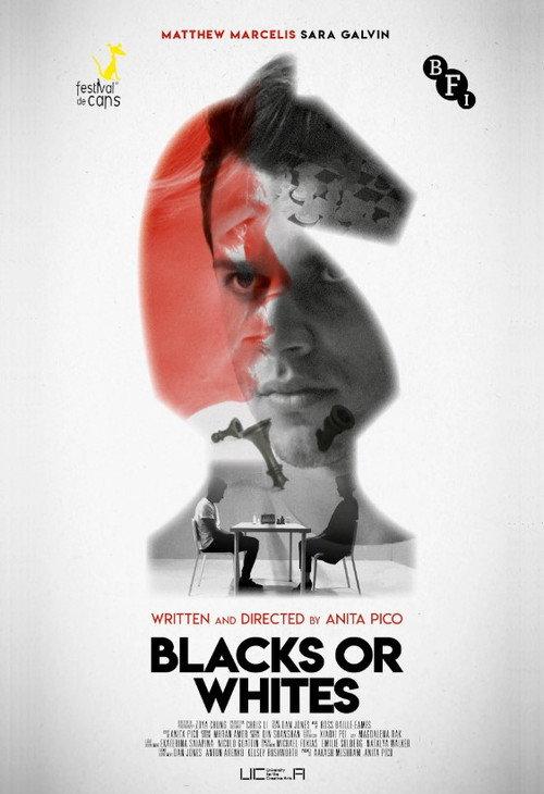 Blacks or Whites official movie poster