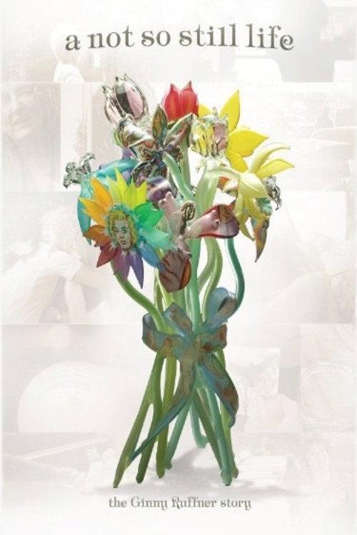 A Not So Still Life 2010 official movie poster