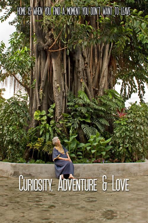 Curiosity, Adventure and Love 2016 official movie poster
