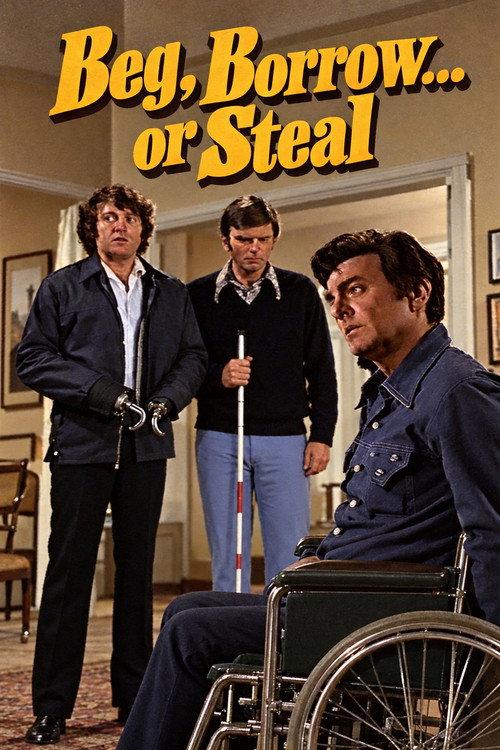 Beg, Borrow...or Steal 1973 official movie poster