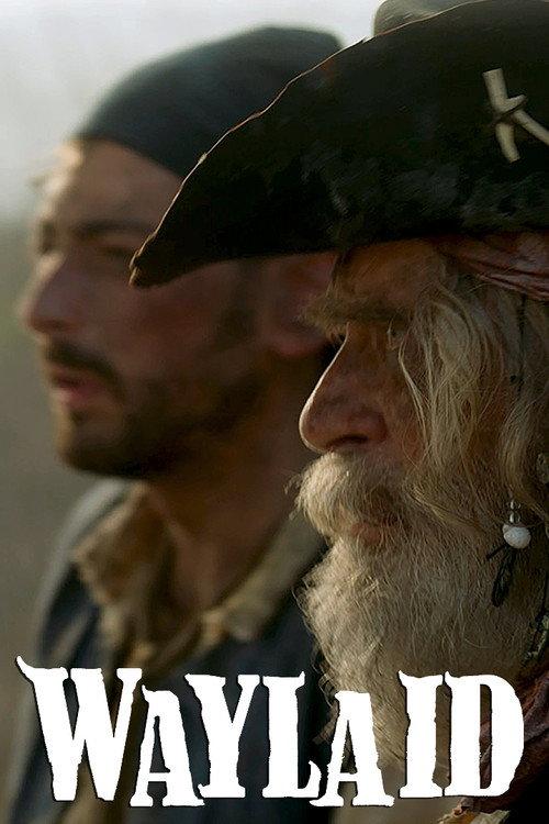 Waylaid 2021 official movie poster