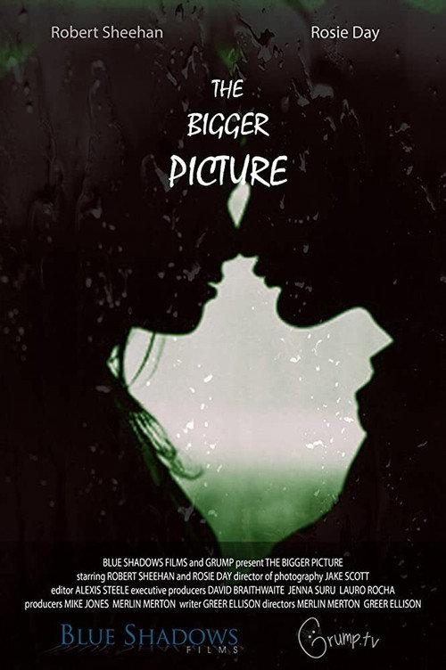 The Bigger Picture 2016 official movie poster