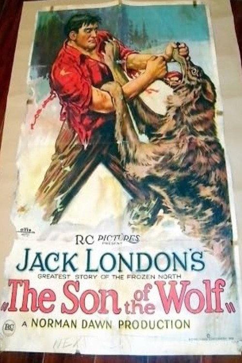 The Son of the Wolf 1922 official movie poster