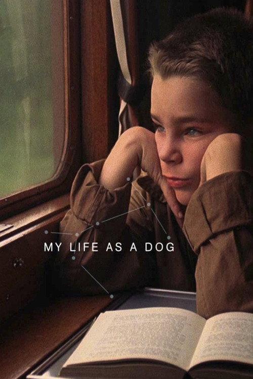 My Life as a Dog 1985 official movie poster