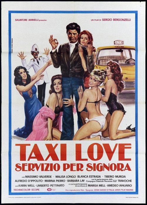 Taxi Love - Servizio per signora 1976 official movie poster