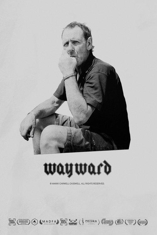 Wayward 2024 official movie poster