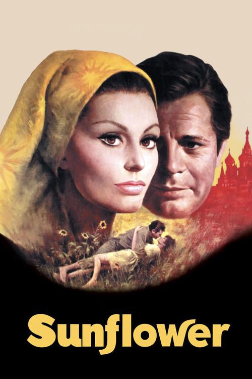 Sunflower 1970 official movie poster