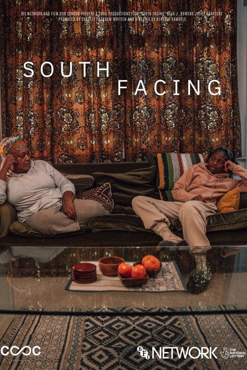 South Facing 2023 official movie poster