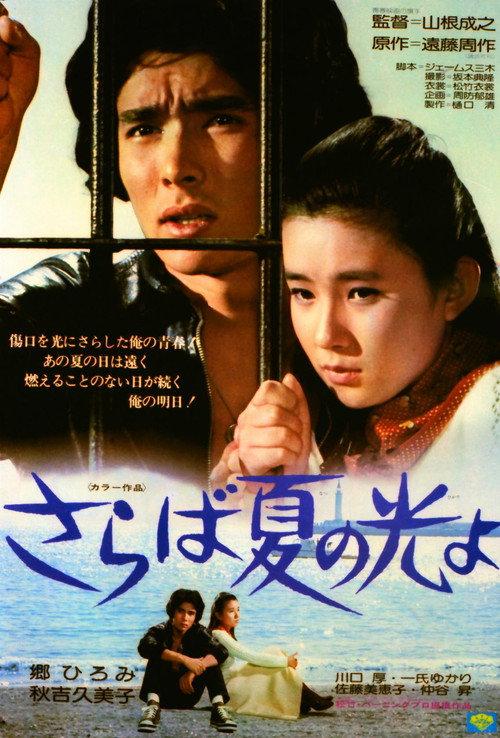 Light and Shade of Youth 1976 official movie poster