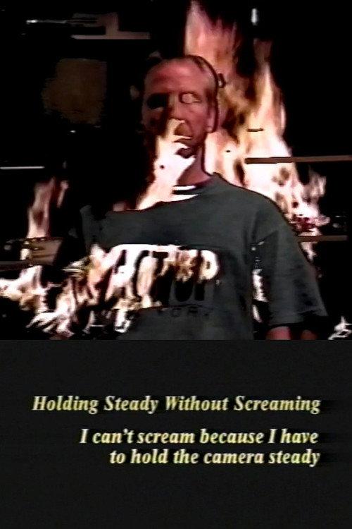 Holding Steady Without Screaming 1995 official movie poster