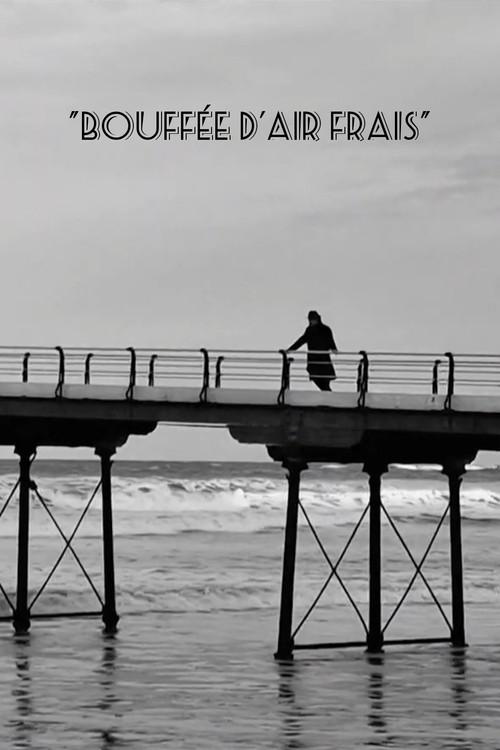 Breath of Fresh Air 2023 official movie poster