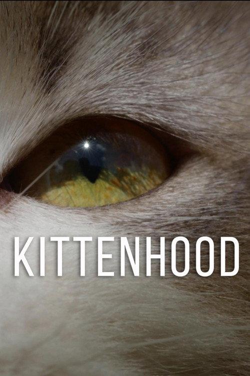 Kittenhood 2015 official movie poster