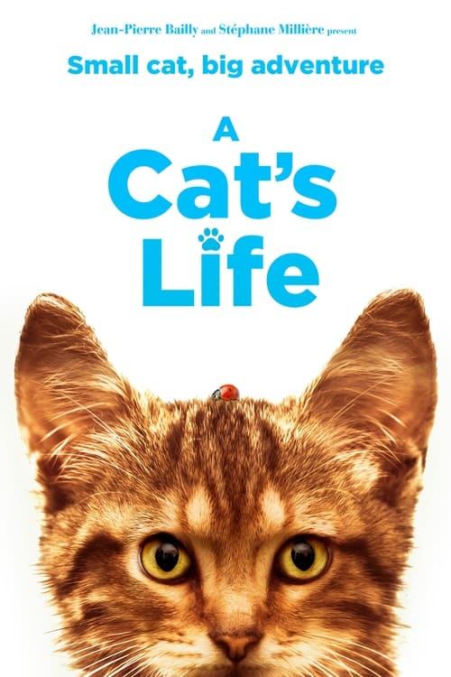 A Cat's Life 2023 official movie poster