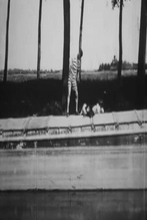 Impossible To Get a Plunge 1901 official movie poster