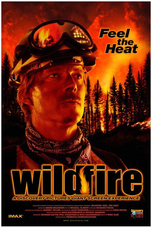 Wildfire: Feel the Heat 1999 official movie poster