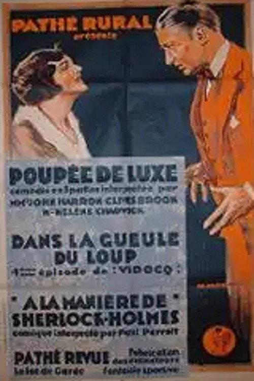 The Woman Hater 1925 official movie poster