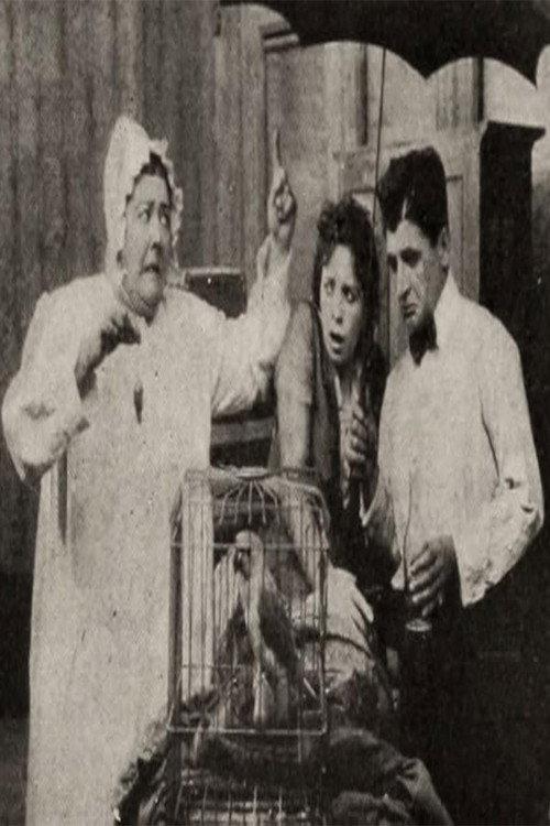 In Arcadia 1916 official movie poster