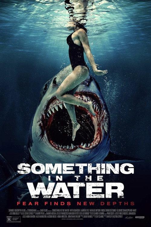 Something 2024 official movie poster