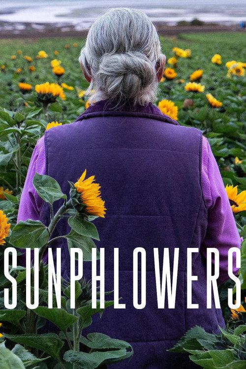 Sunphlowers 2025 official movie poster