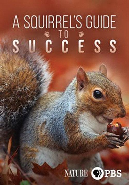 A Squirrel's Guide to Success 2018 official movie poster