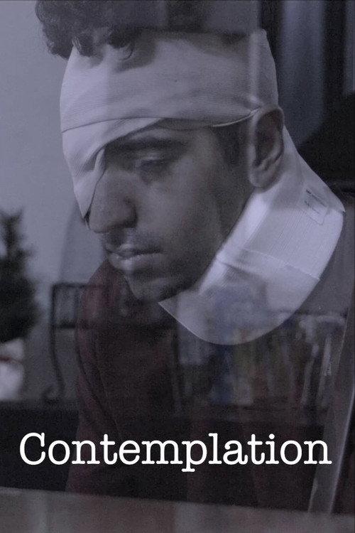Contemplation 2025 official movie poster