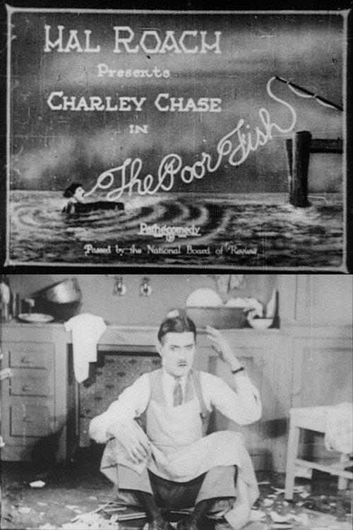 The Poor Fish 1924 official movie poster