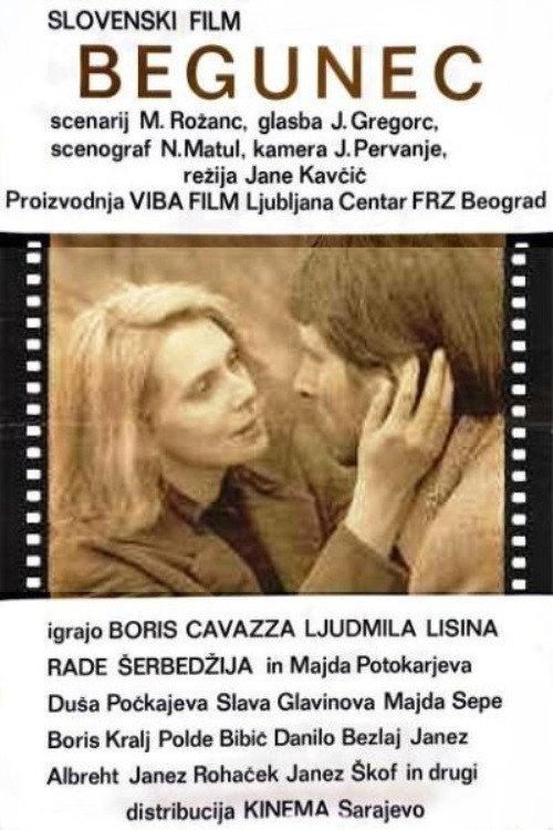 The Fugitive 1973 official movie poster