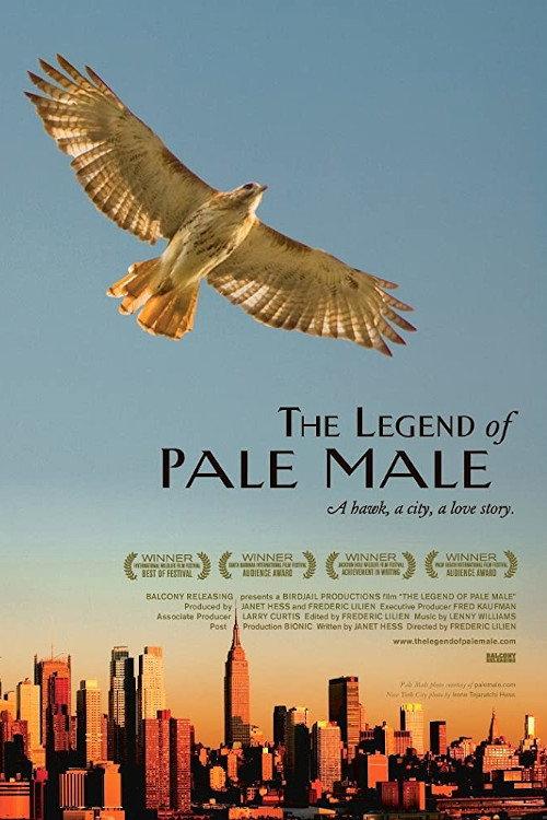 The Legend of Pale Male 2011 official movie poster