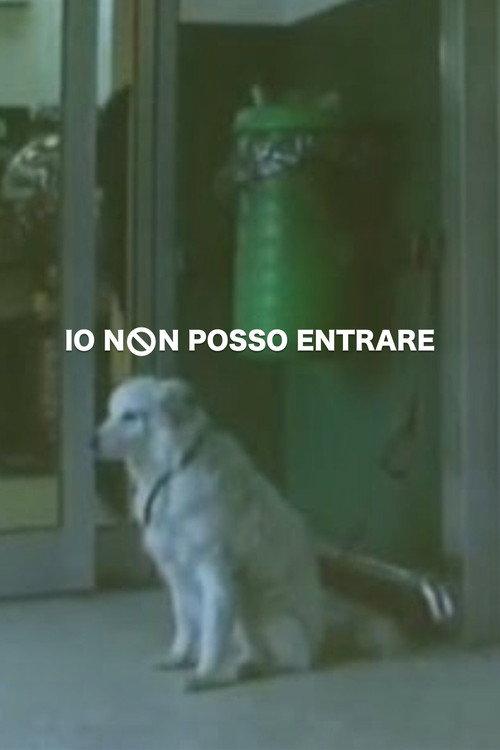 Io non posso entrare 2002 official movie poster