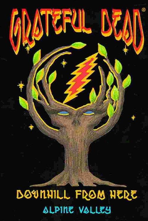 Grateful Dead: Downhill from Here 1989 official movie poster
