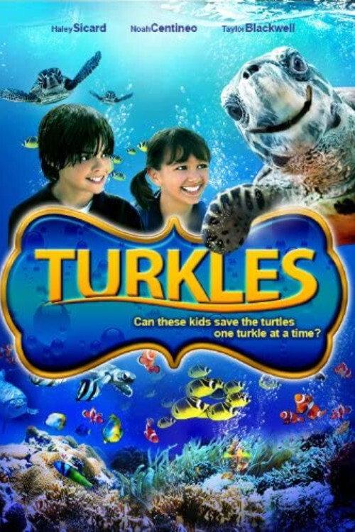 Turkles 2011 official movie poster
