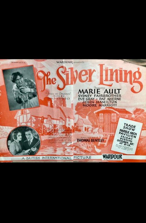 The Silver Lining 1928 official movie poster