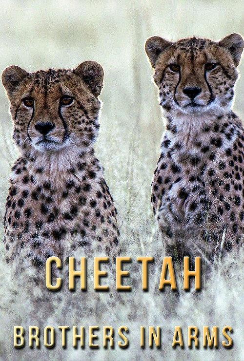 Cheetah Brothers in Arms 2020 official movie poster