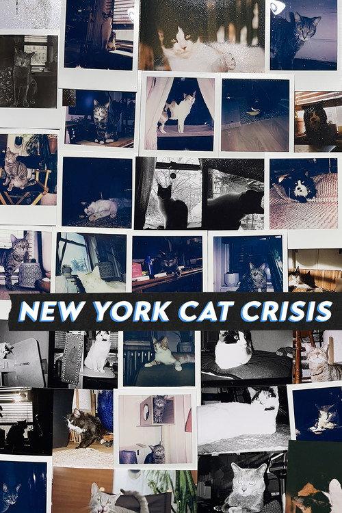 New York Cat Crisis official movie poster