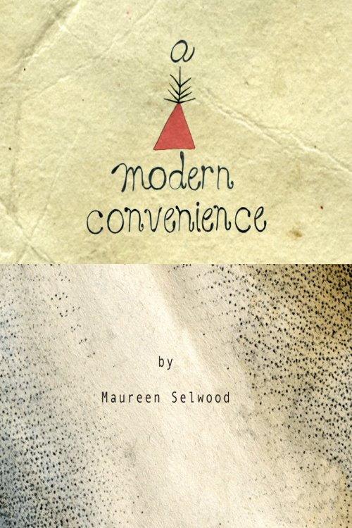 A Modern Convenience 2012 official movie poster