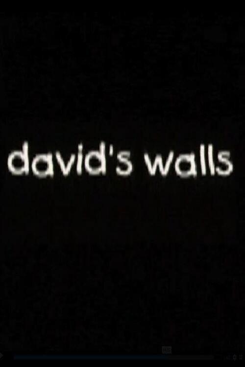 David's Walls 2001 official movie poster