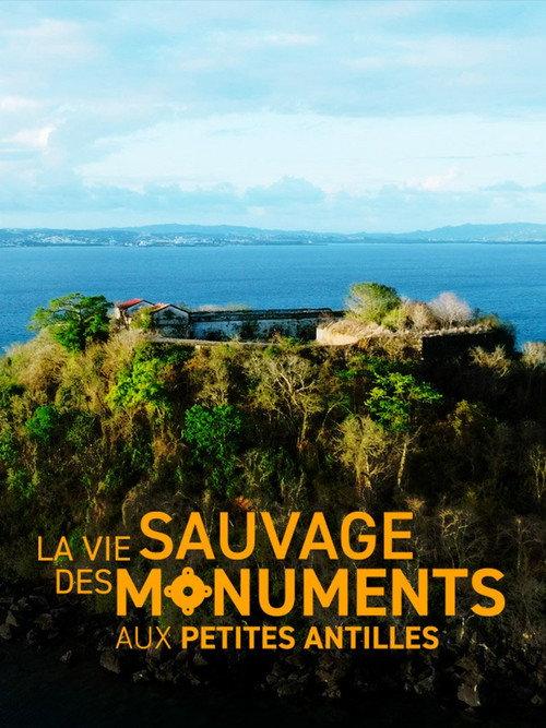 La vie sauvage des monuments aux Petites Antilles 2024 official movie poster