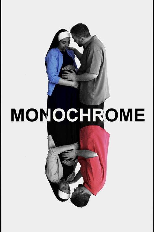 Monochrome 2025 official movie poster