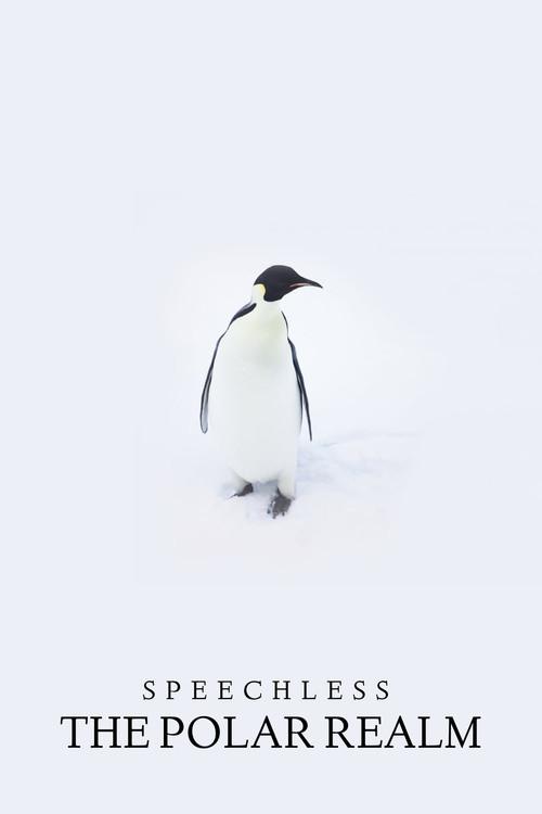 Speechless: The Polar Realm 2015 official movie poster